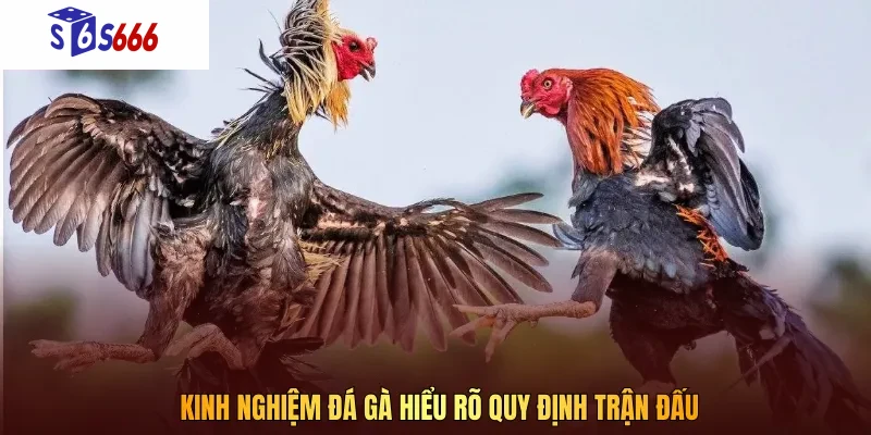 Lắng nghe nhận định từ chuyên gia là lưu ý vàng cho bạn
