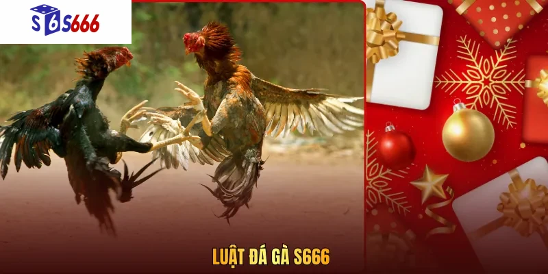Luật đá gà S666