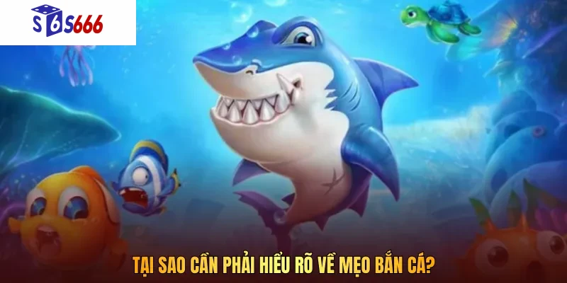 Tại sao cần phải hiểu rõ về mẹo bắn cá