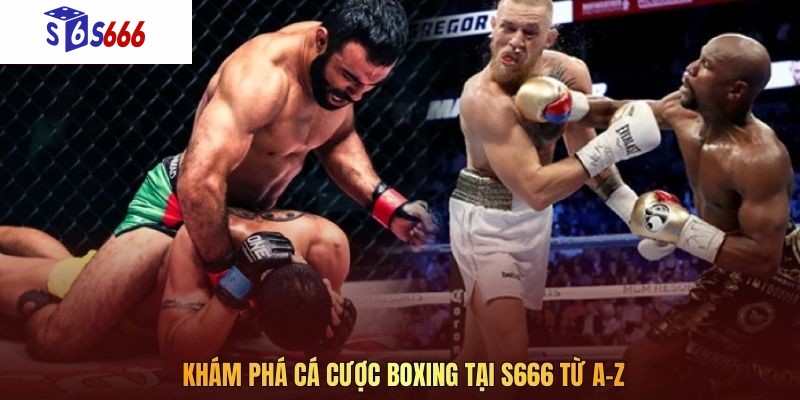 Khám phá cá cược boxing tại S666 từ A–Z